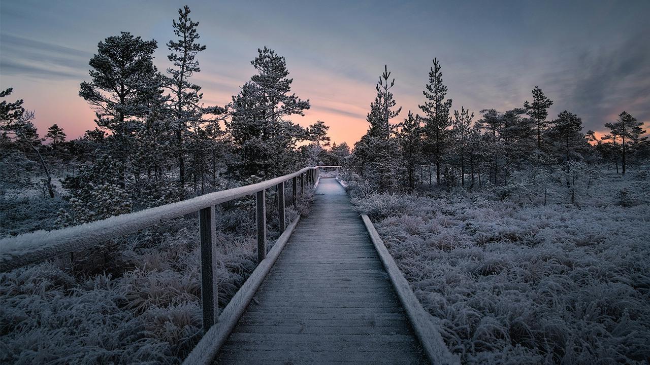 Begravningsbyrå i Hällefors