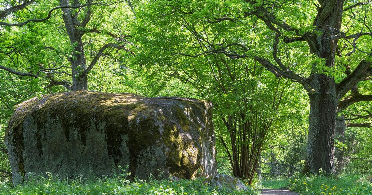 Begravningsbyrå i Svenstavik