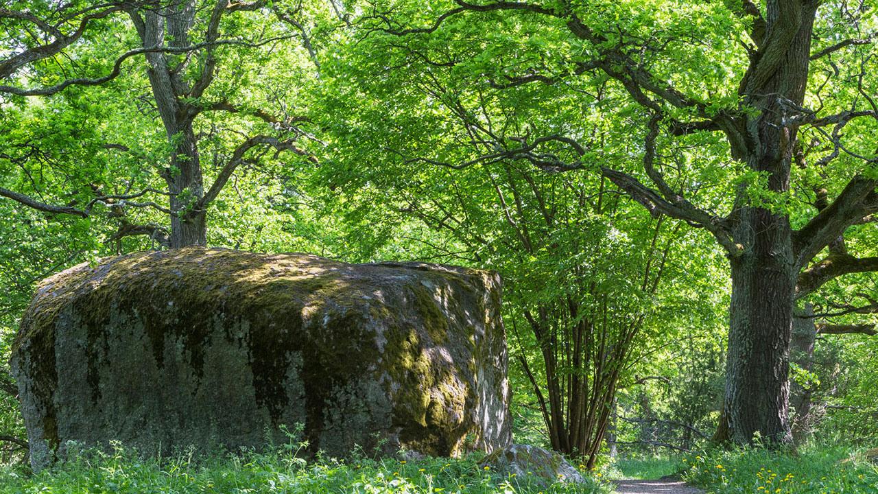 Begravningsbyrå i Ramnäs