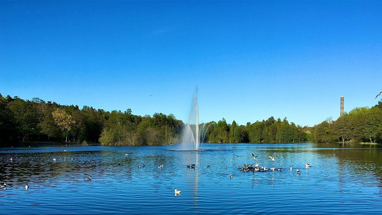 Begravningsbyrå i Sundbyberg